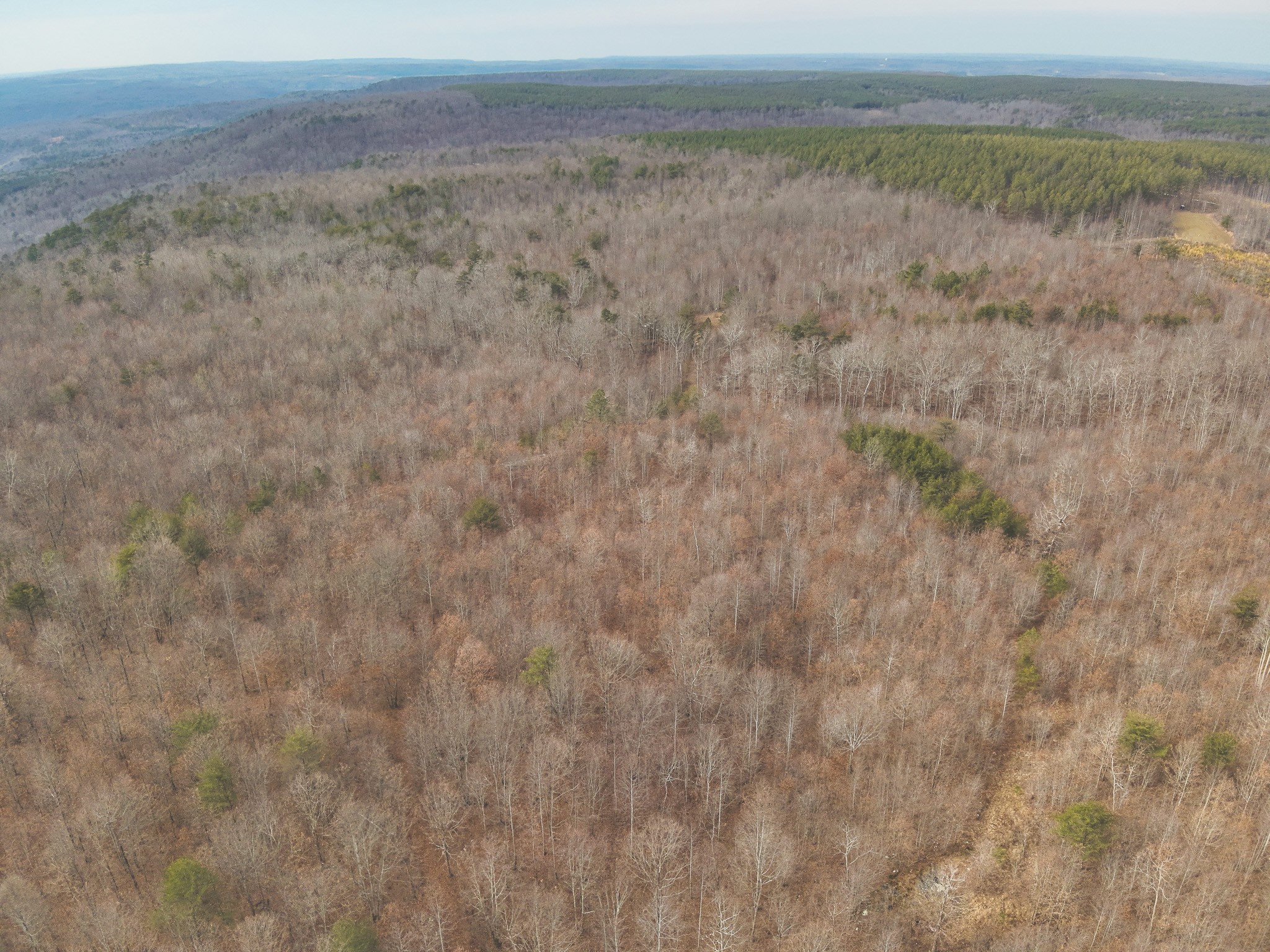 1555 Palmer Firetower Road Whitwell, TN 37397 - Photo 60 of 66