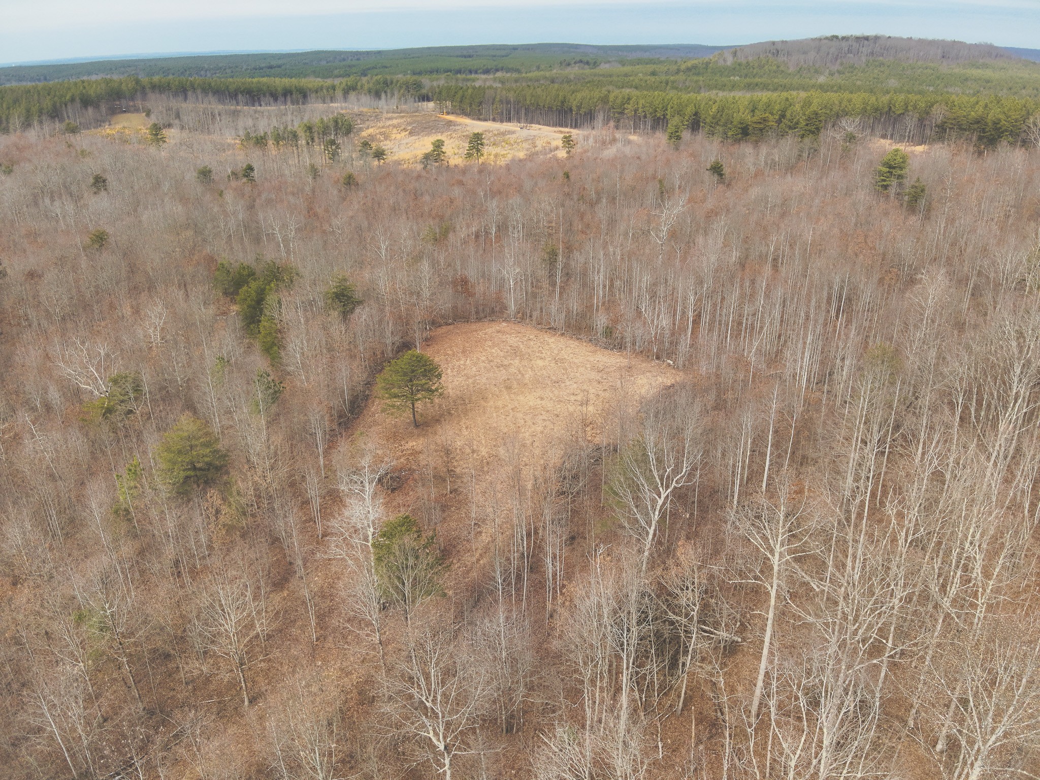 1555 Palmer Firetower Road Whitwell, TN 37397 - Photo 6 of 66