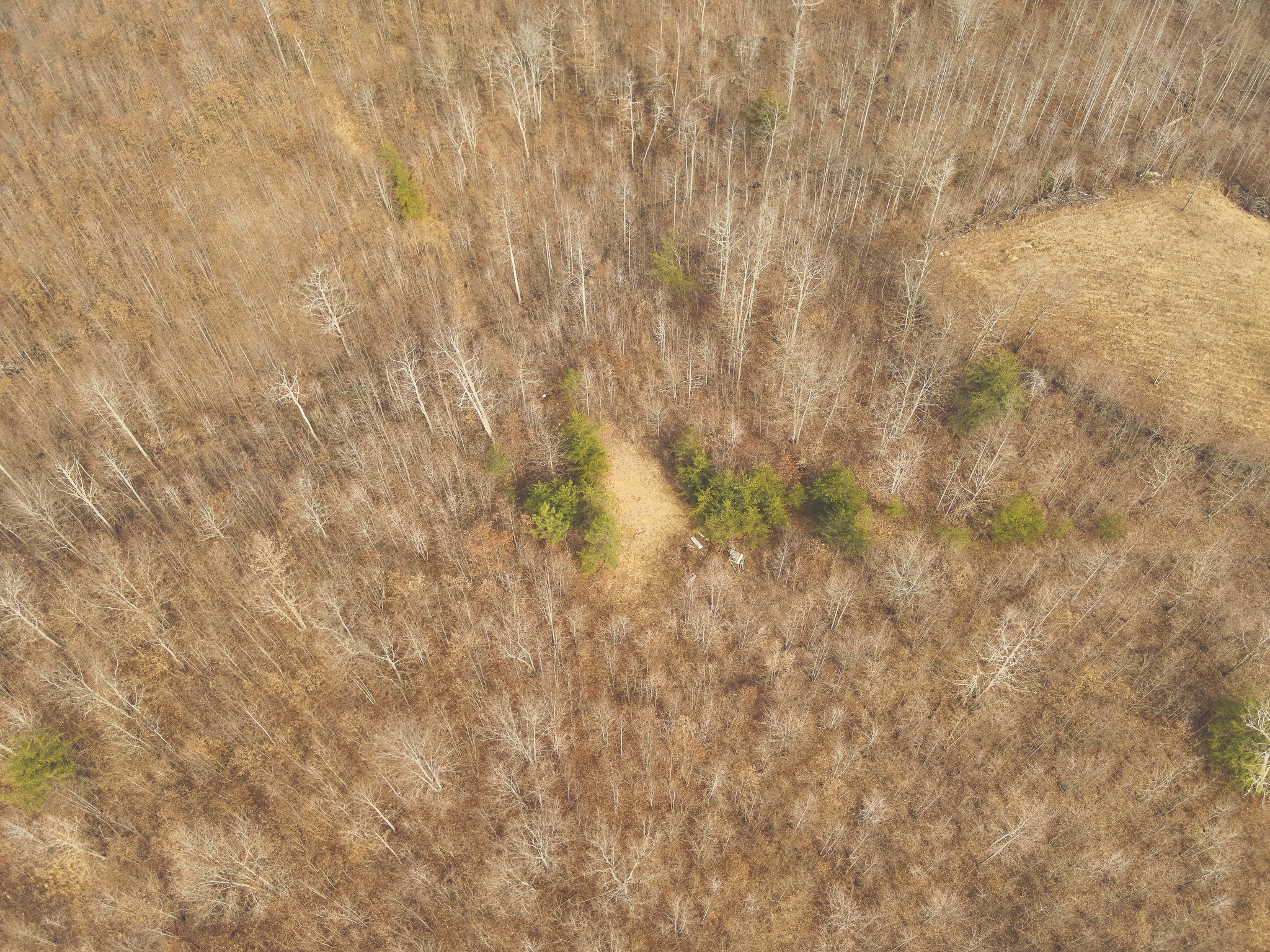 1555 Palmer Firetower Road Whitwell, TN 37397 - Photo 61 of 66