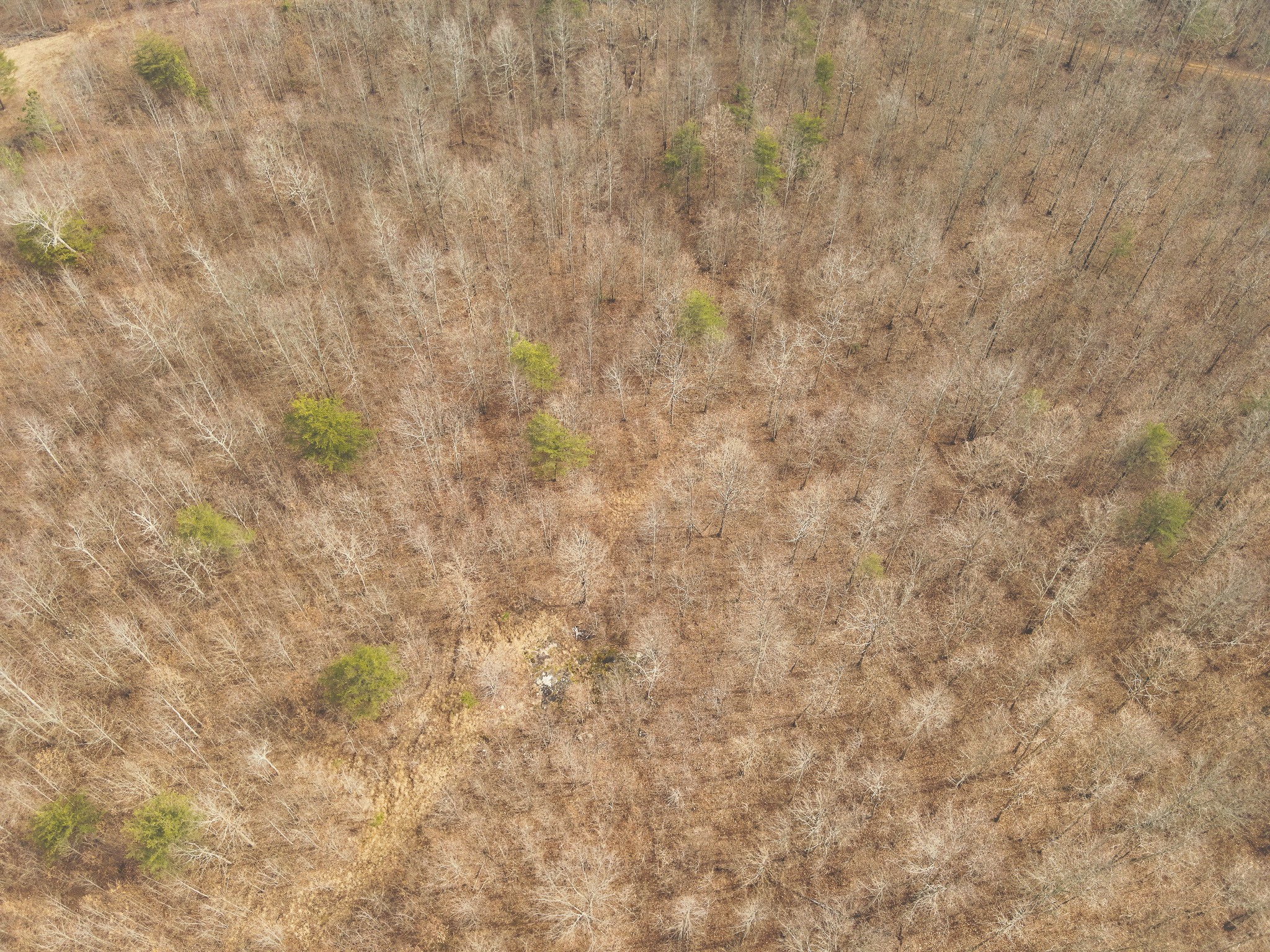 1555 Palmer Firetower Road Whitwell, TN 37397 - Photo 62 of 66