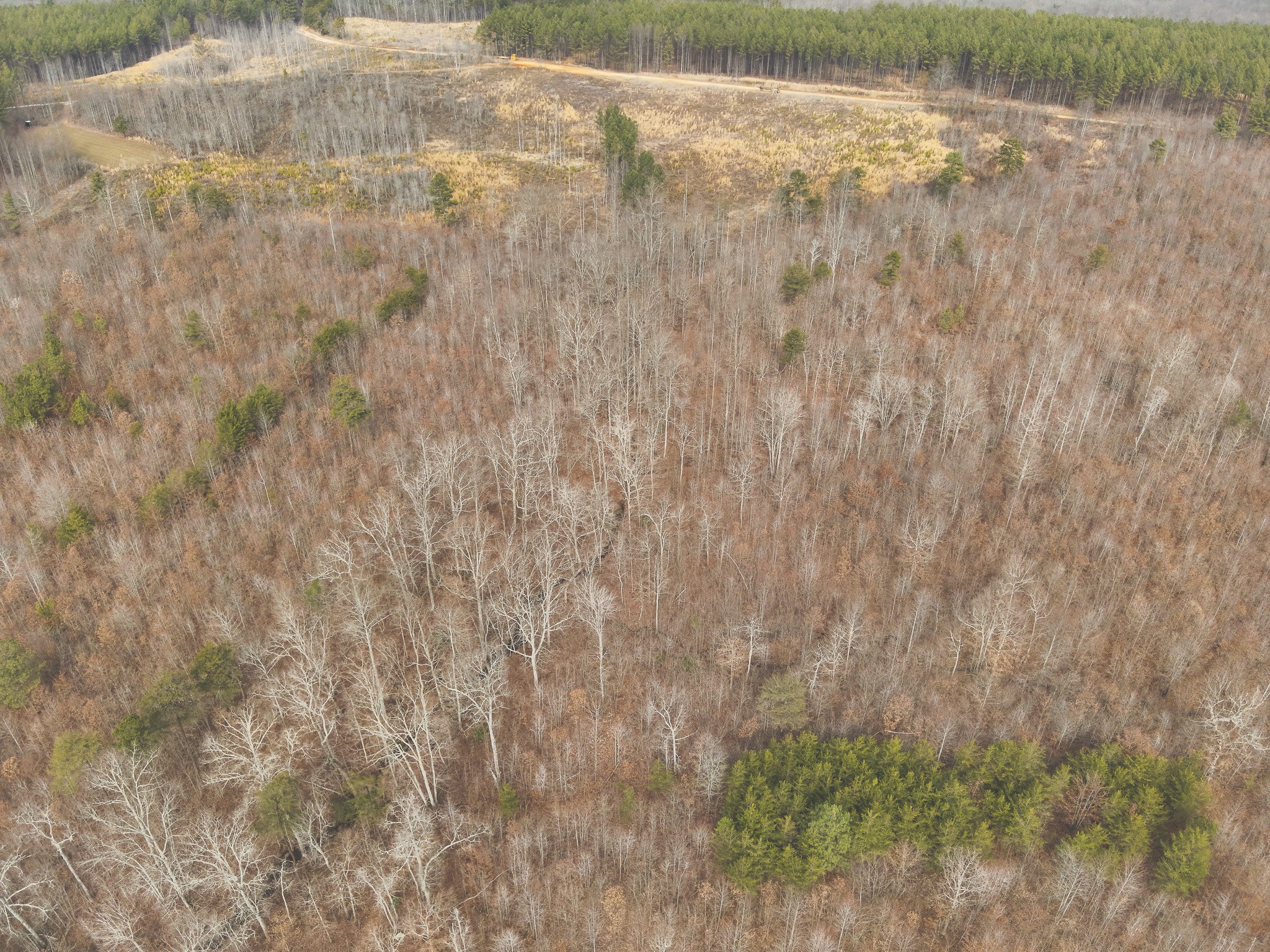 1555 Palmer Firetower Road Whitwell, TN 37397 - Photo 64 of 66