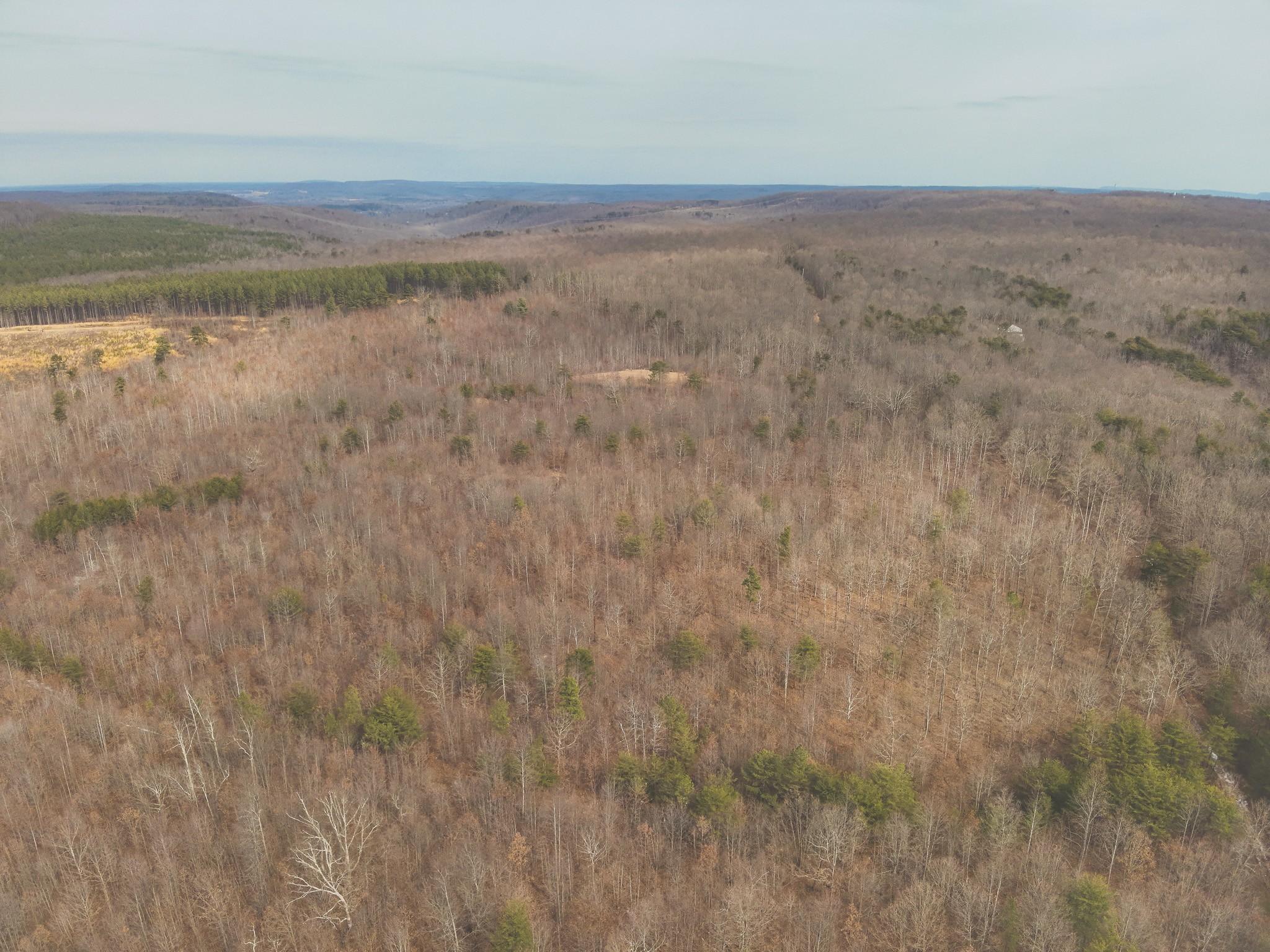 1555 Palmer Firetower Road Whitwell, TN 37397 - Photo 65 of 66