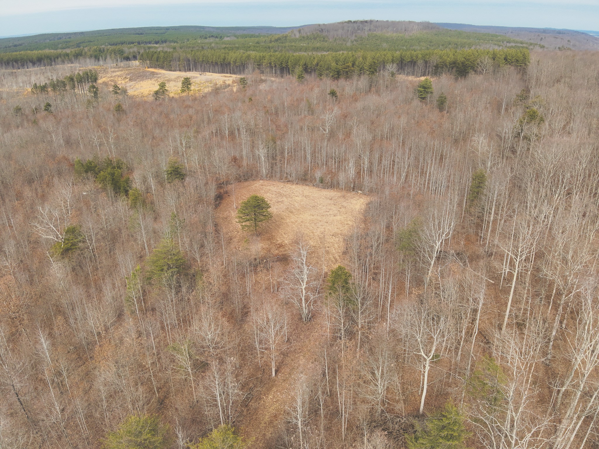 1555 Palmer Firetower Road Whitwell, TN 37397 - Photo 66 of 66