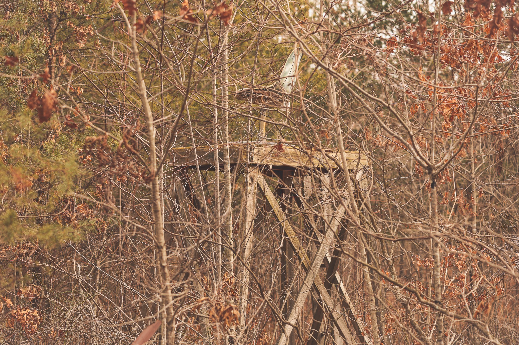 1555 Palmer Firetower Road Whitwell, TN 37397 - Photo 10 of 66