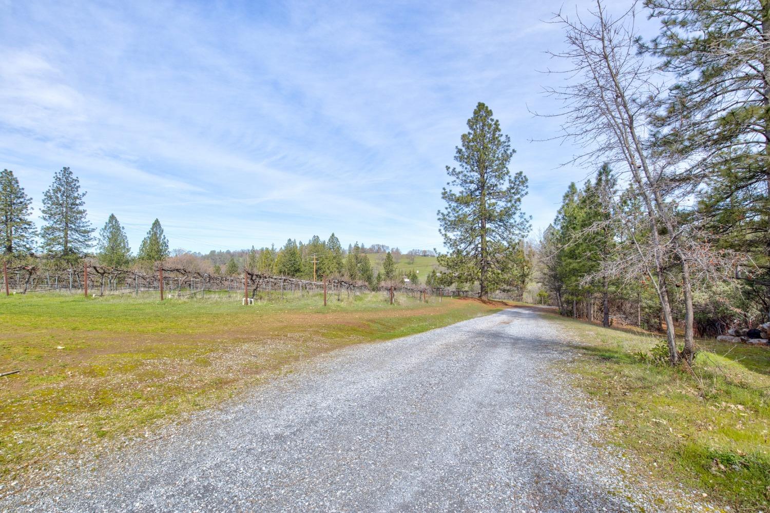 4771 Greenhills Road Placerville, CA 95667 - Photo 46 of 71 Gallery Image 46