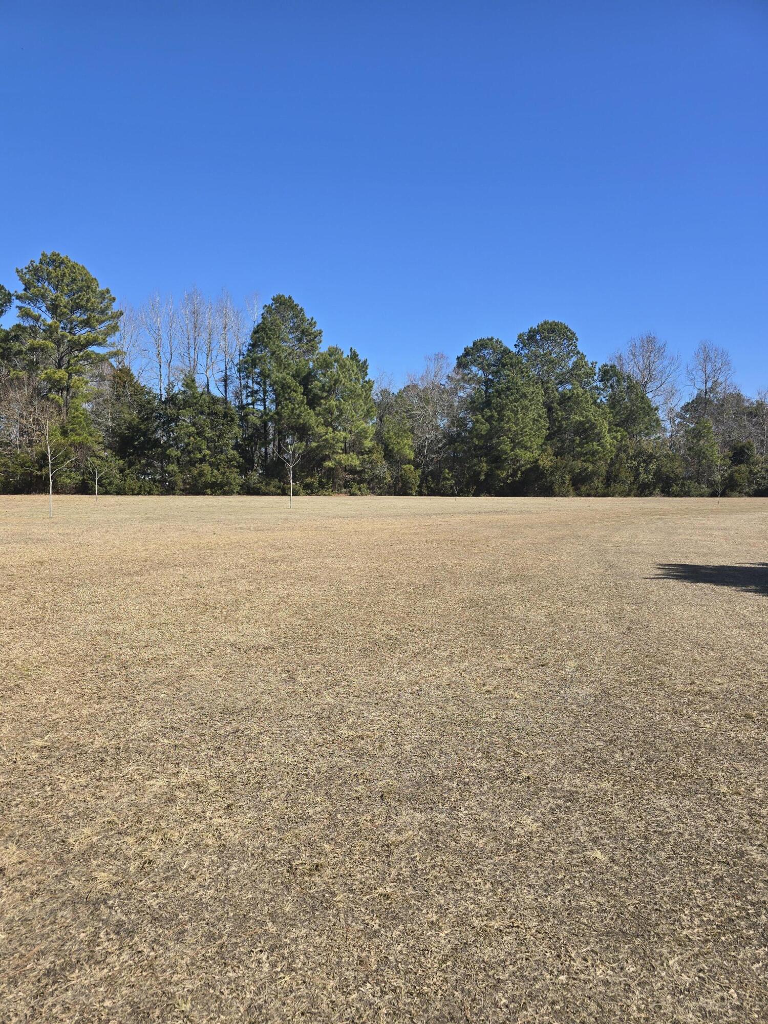 0 Breezy Bay Way McClellanville, SC 29458 - Photo 4 of 9 20260213_113628