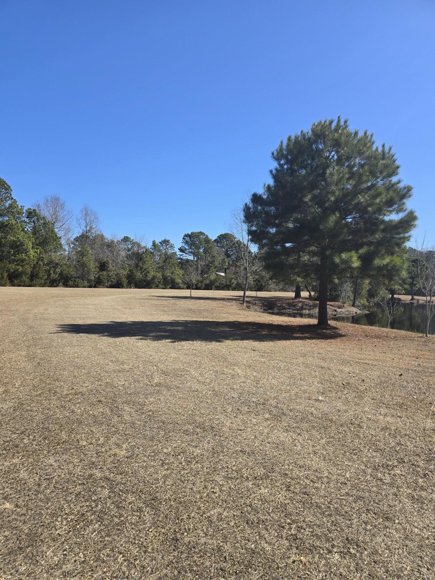 0 Breezy Bay Way McClellanville, SC 29458 - Photo 6 of 9 20260213_113634