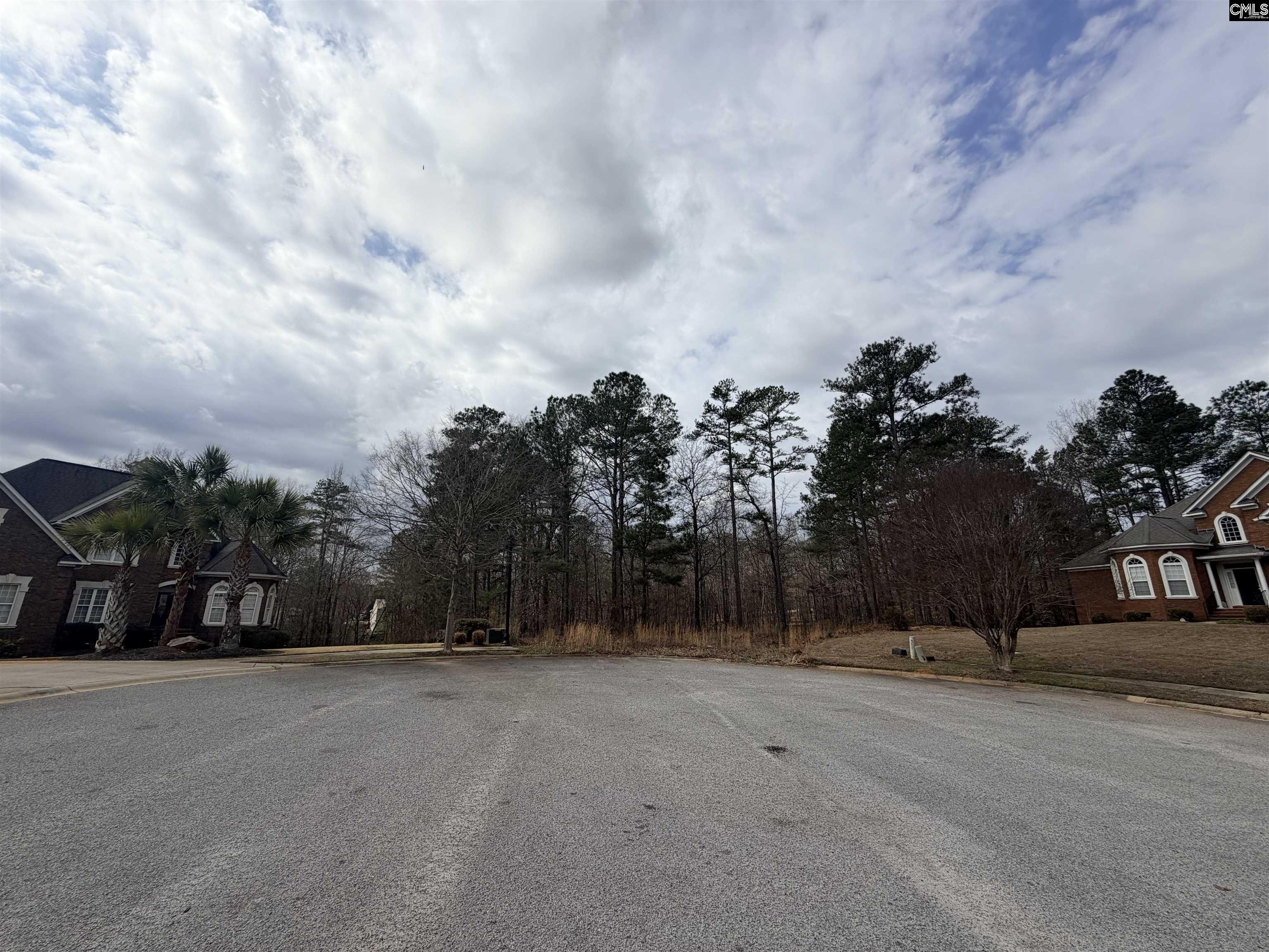 92 Cannonade Court Irmo, SC 29063 - Photo 1 of 8