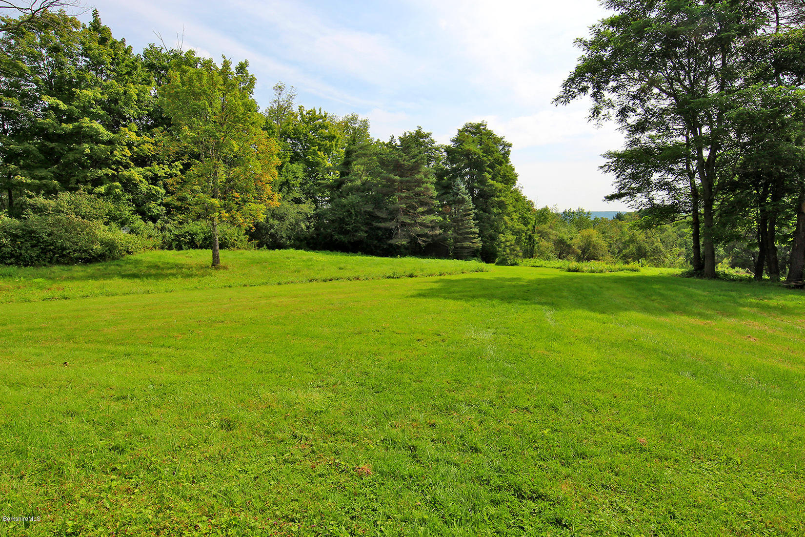 1455 State Road Richmond, MA 01254 - Photo 8 of 15 a view of a grassy field with trees