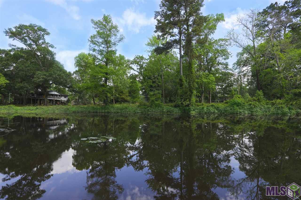 18536 Manchac Point Road Prairieville, LA 70769 - Photo 5 of 10