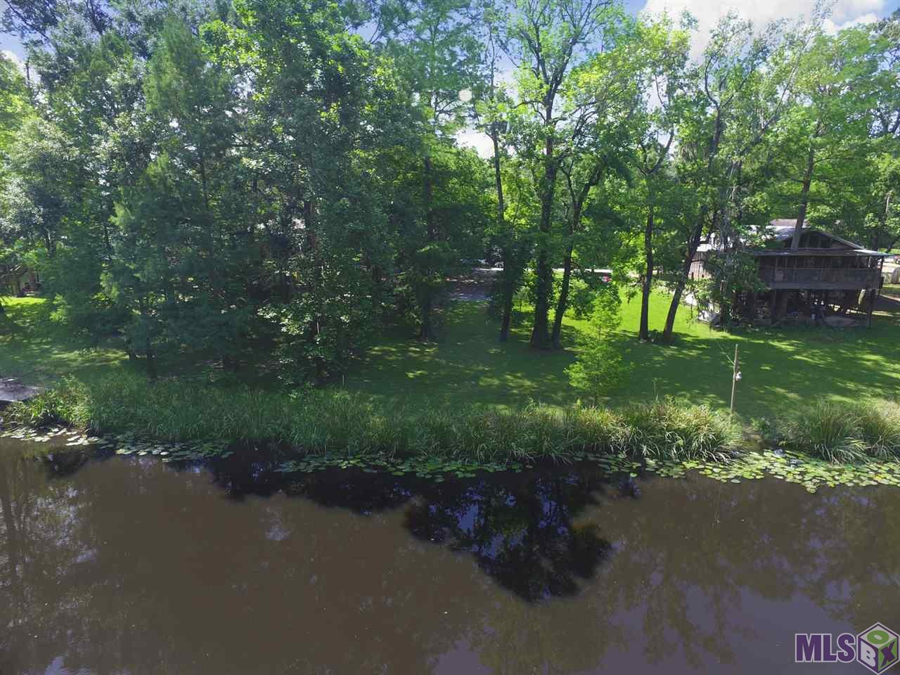 18536 Manchac Point Road Prairieville, LA 70769 - Photo 8 of 10
