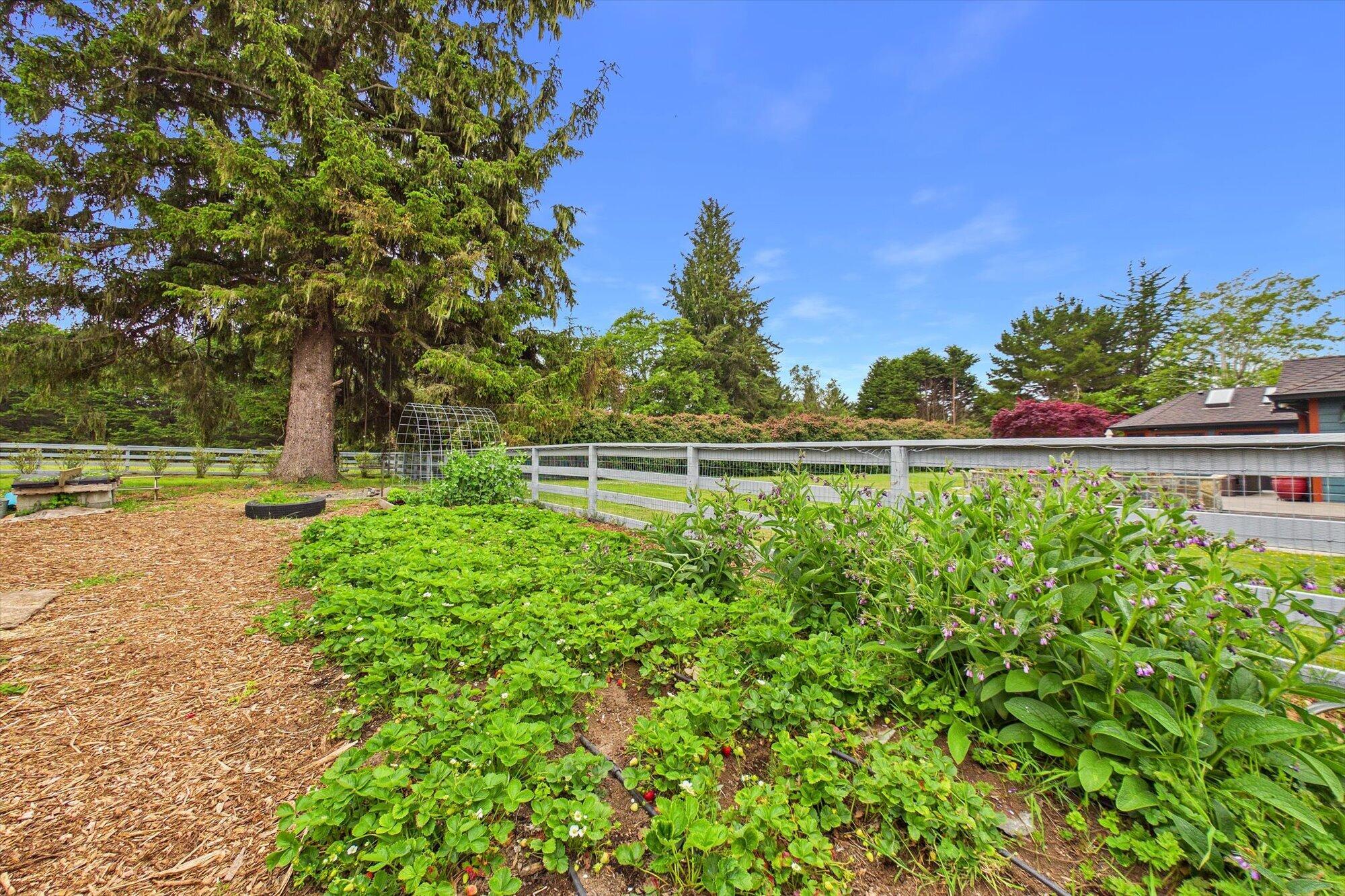 1300 Clam Beach Road McKinleyville, CA 95519 - Photo 92 of 116