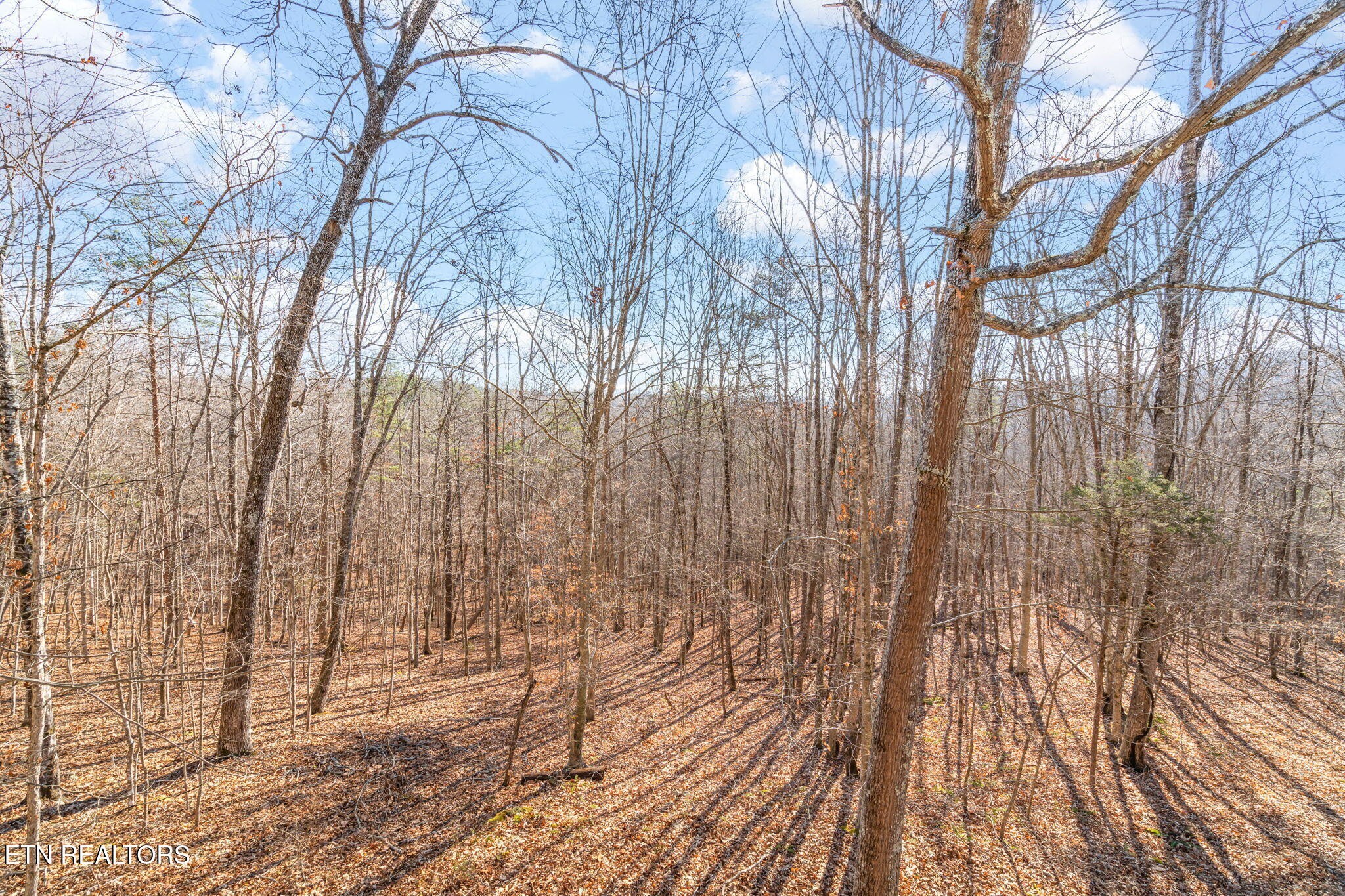 400 Loyston Point Road Andersonville, TN 37705 - Photo 21 of 41 Gallery Image 21