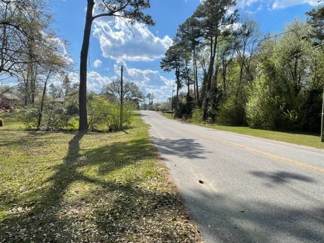 245 Rutledge Avenue Orangeburg, SC 29115 - Photo 2 of 17 Photo 2