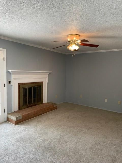 245 Rutledge Avenue Orangeburg, SC 29115 - Photo 8 of 17 Photo 8