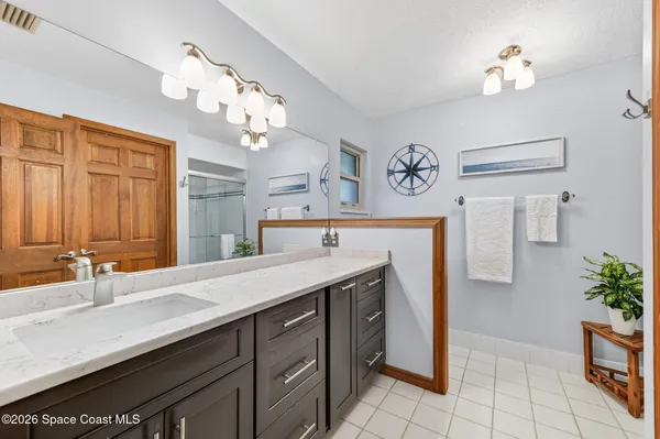 a potted plant sitting on a shelf