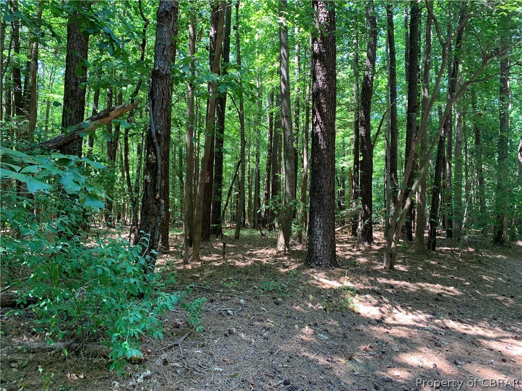 Lot 41 Wilton Creek Road Hartfield, VA 23071 - Photo 1 of 12 Lot 41 Wilton Creek Road, Hartfield, Va 23071