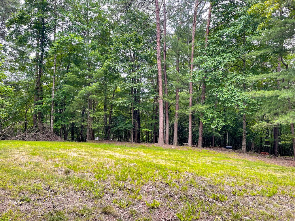 89 Kanati Trail Murphy, NC 28906 - Photo 2 of 30 a view of swimming pool with lawn chairs and large trees