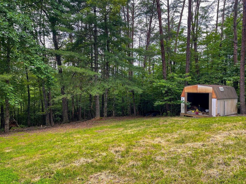 89 Kanati Trail Murphy, NC 28906 - Photo 28 of 30 a view of a backyard with a small cabin