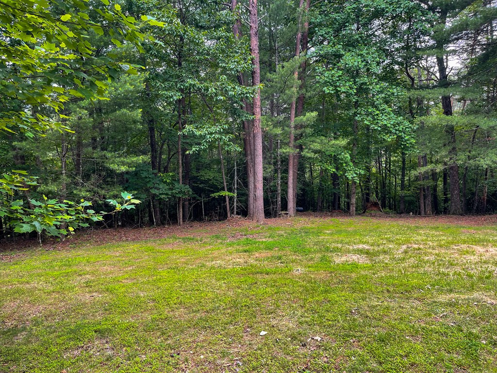 89 Kanati Trail Murphy, NC 28906 - Photo 29 of 30 a view of a swimming pool and trees in the background