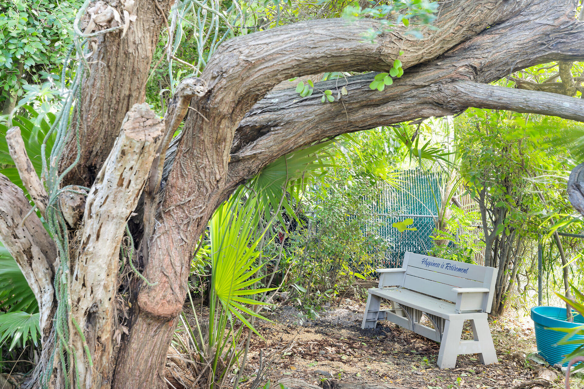 535 80th Street Marathon, FL 33050 - Photo 31 of 42 YARD