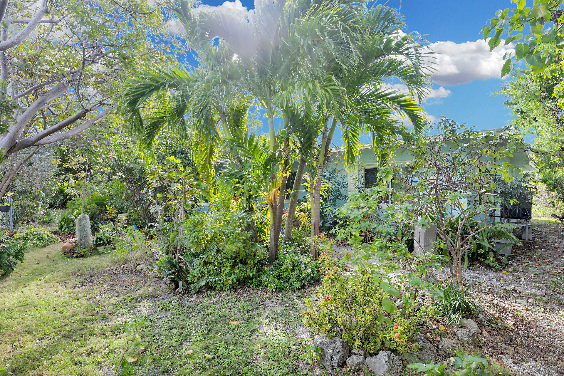 535 80th Street Marathon, FL 33050 - Photo 33 of 42 LUSH TROPICAL FOLIAGE