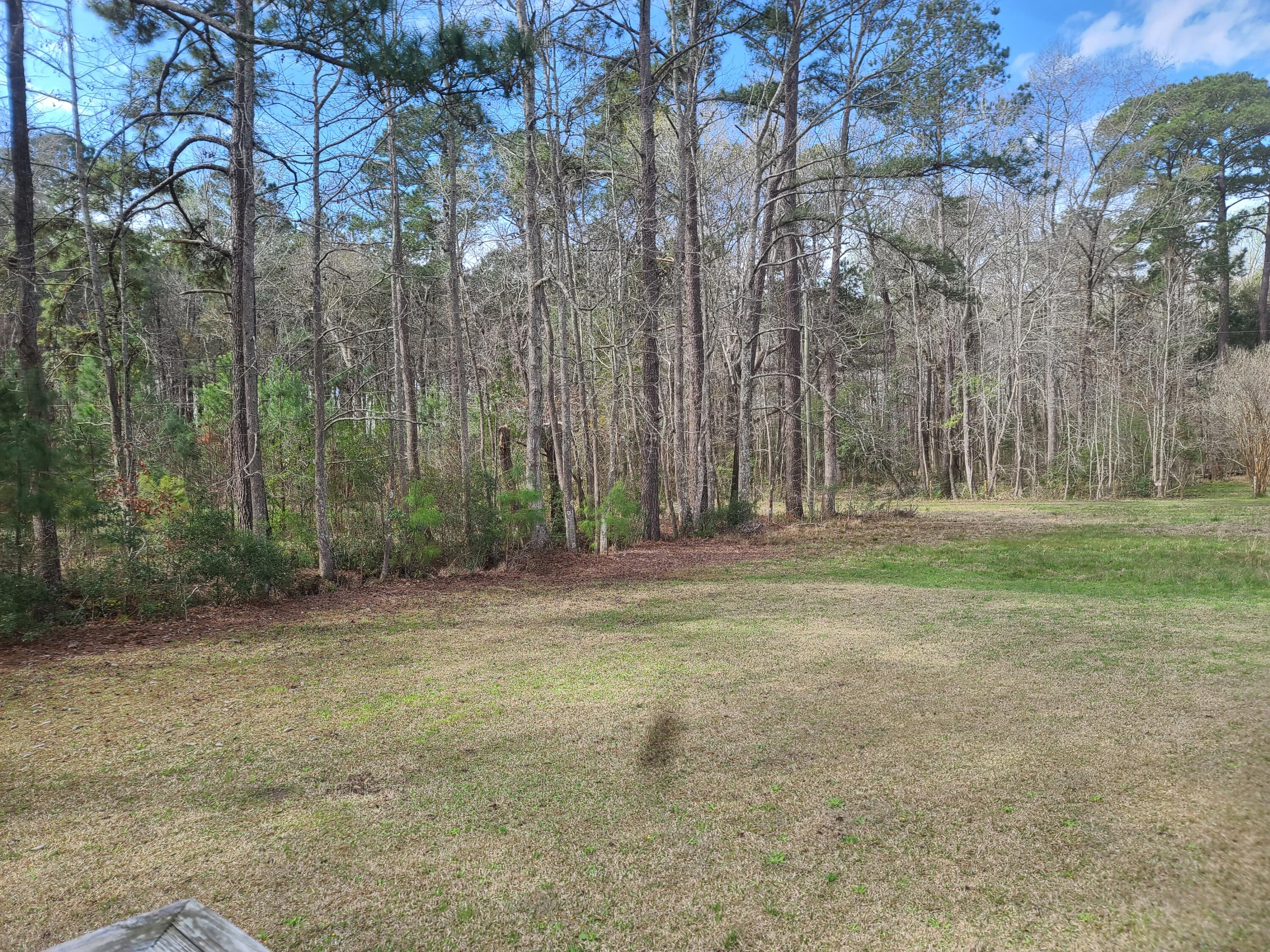 5933 Dixie Plantation Road Hollywood, SC 29449 - Photo 4 of 61 Pic DPR 2