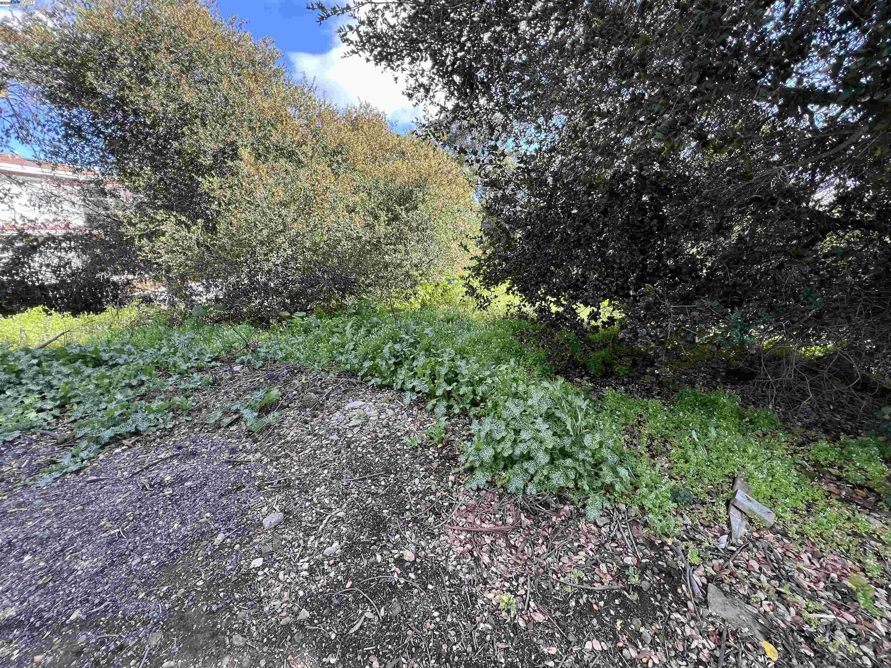 0 Jensen Road Castro Valley, CA 94552 - Photo 4 of 9 a view of a large yard with lots of green space