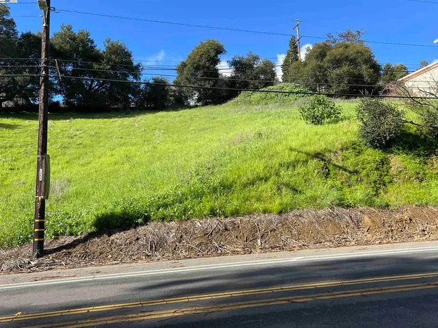 a view of a garden from a window