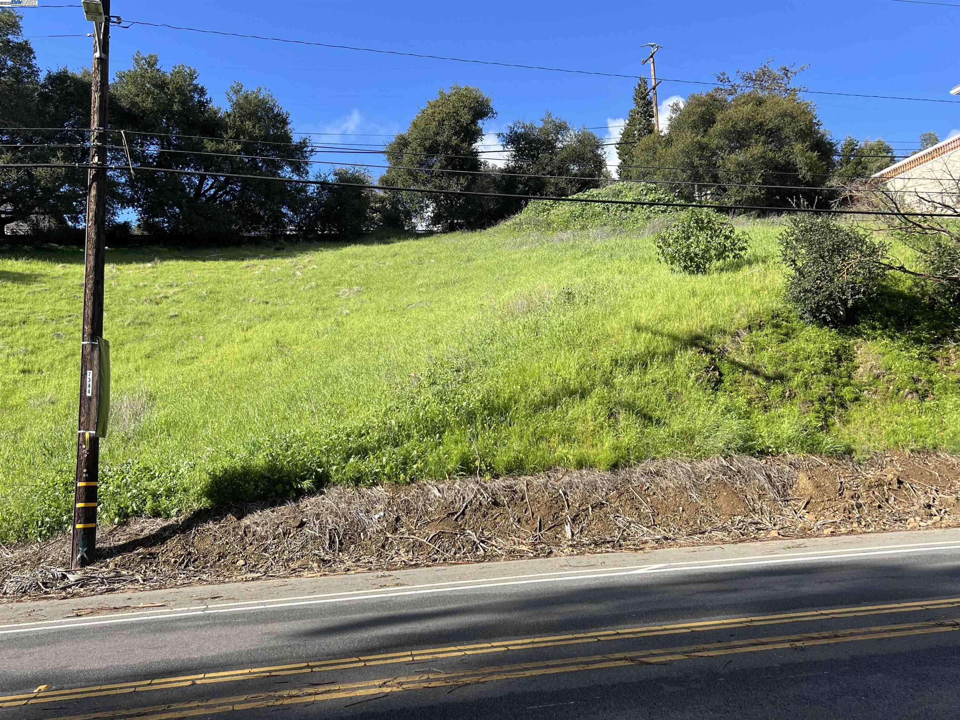 0 Jensen Road Castro Valley, CA 94552 - Photo 5 of 9 a view of a garden from a window