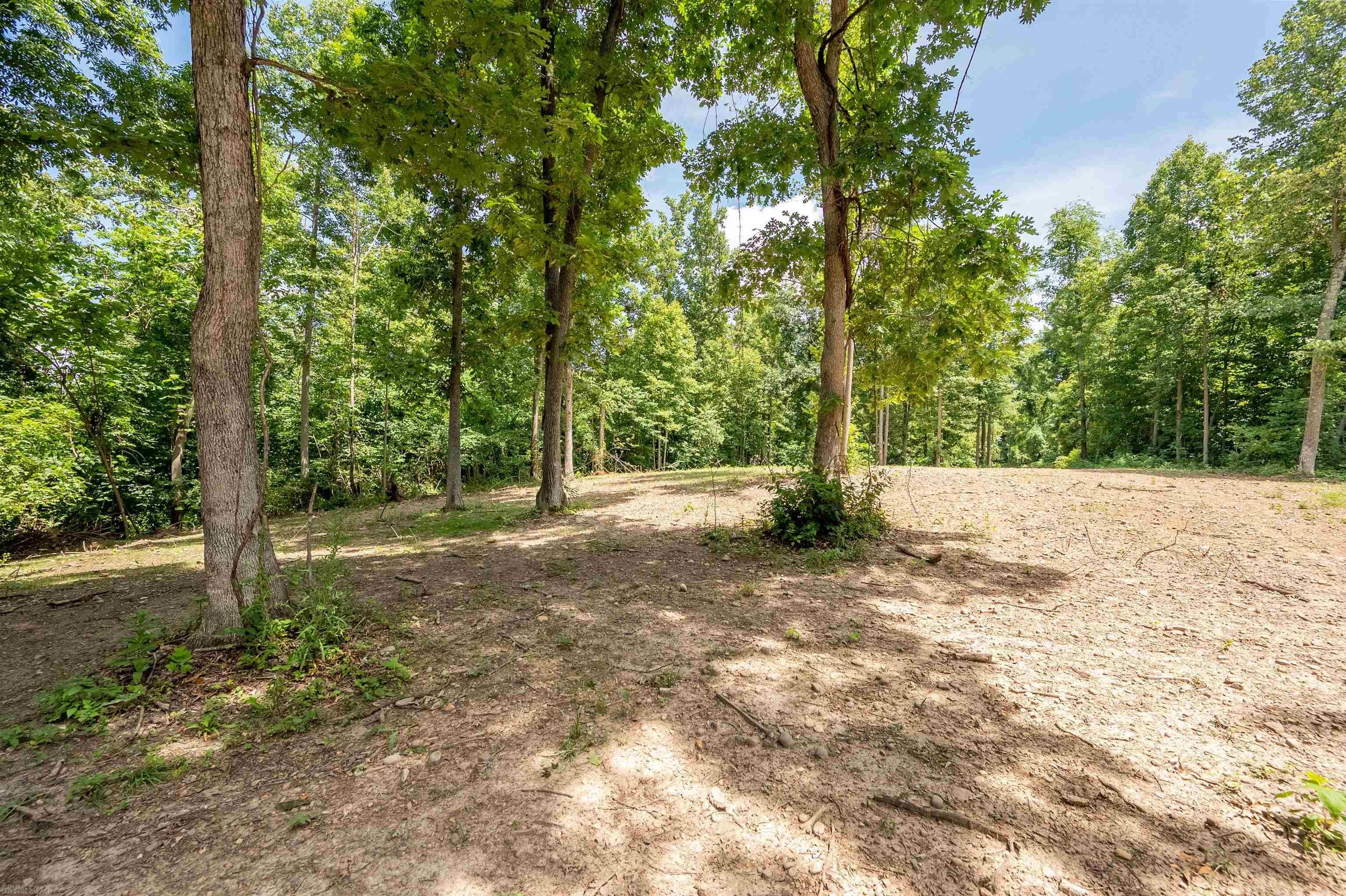 2252 Curve Road Pearisburg, VA 24134 - Photo 27 of 38 Gallery Image 27