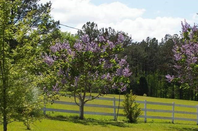 6719 Goodall Mill Road Macon, GA 31216 - Photo 21 of 24 Additional Photo