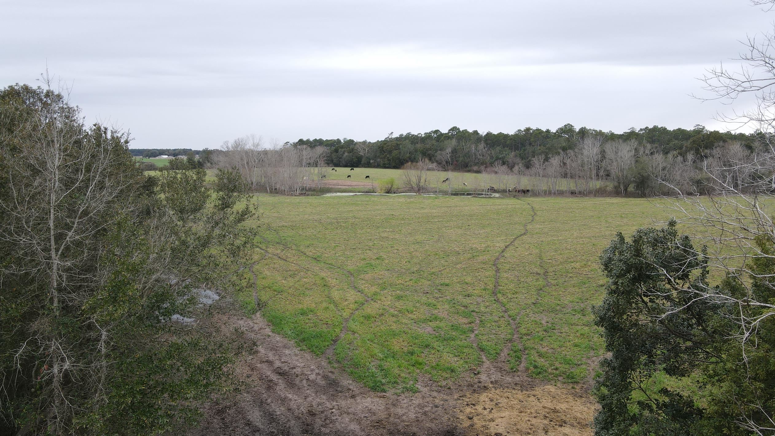 0 Hillcrest Road Lillian, AL 36549 - Photo 3 of 16
