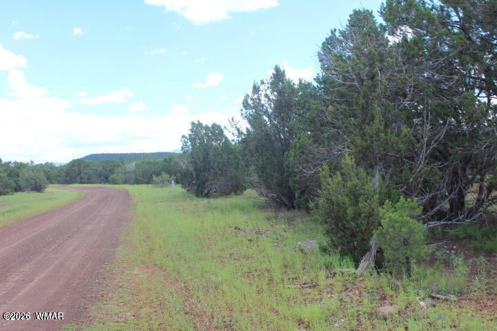 29 Co Road Show Low, AZ 85901 - Photo 5 of 23 Gallery Image 5