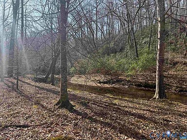 0 Paynes Pond Road Scottsville, VA 24590 - Photo 17 of 44