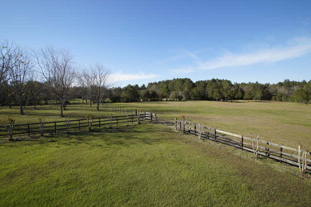 29370 Loper Road Loxley, AL 36551 - Photo 15 of 18