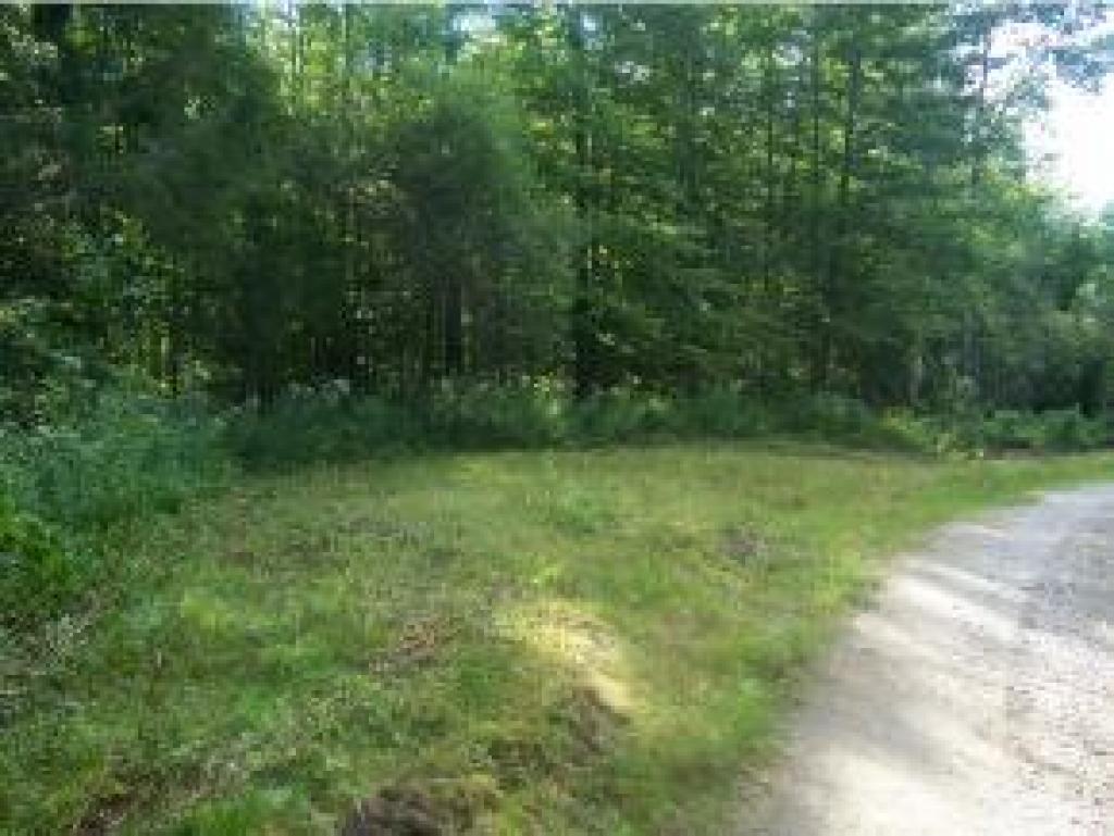 Tbd Potter Road Lowell, VT 05847 - Photo 1 of 1