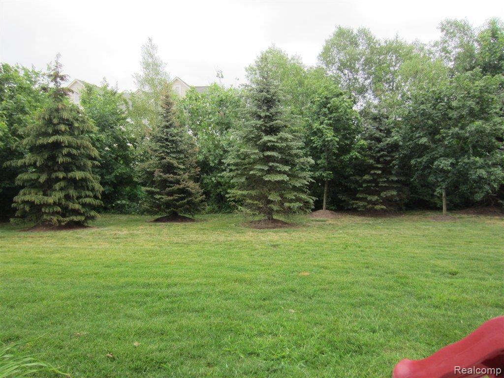 503 Cherry Orchard Road, Unit 93 Canton, MI 48188 - Photo 20 of 20 View in Back