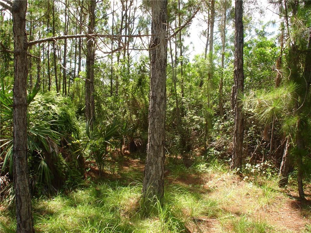 8675 Fleming Grant Road Micco, FL 32976 - Photo 24 of 29 Gallery Image 24