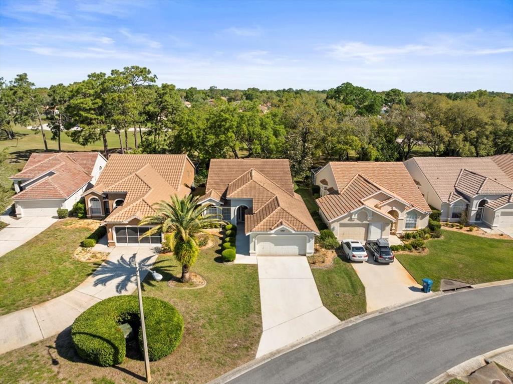 9355 French Quarters Circle Weeki Wachee, FL 34613 - Photo 2 of 57