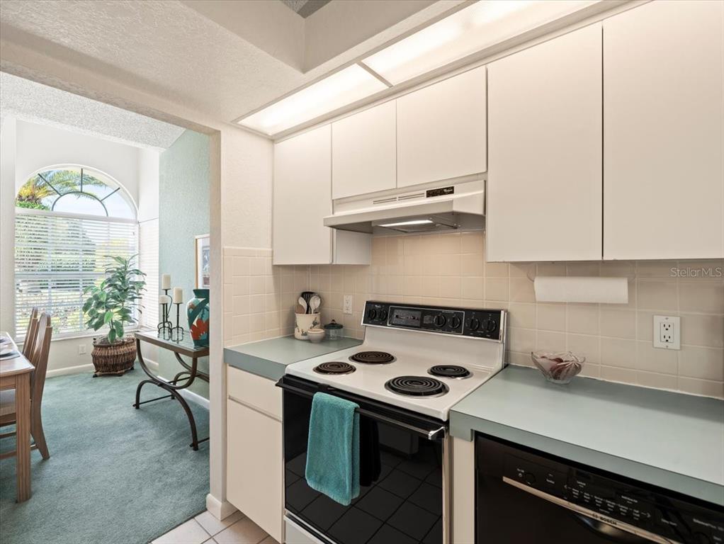 9355 French Quarters Circle Weeki Wachee, FL 34613 - Photo 27 of 57