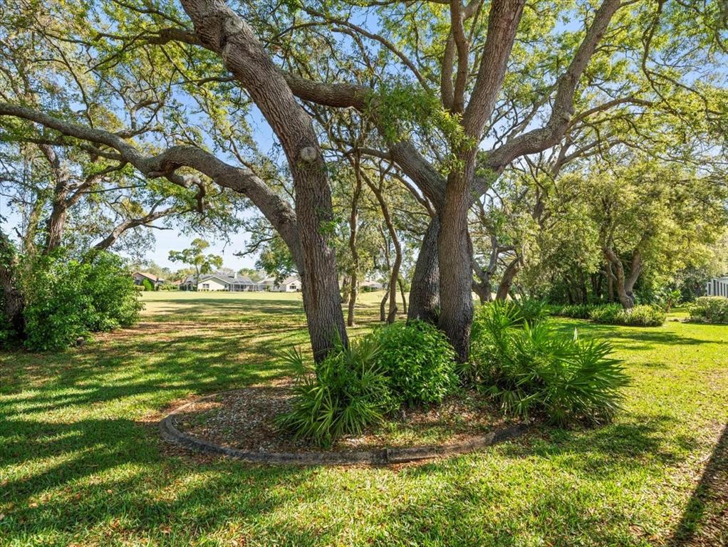 9355 French Quarters Circle Weeki Wachee, FL 34613 - Photo 47 of 57