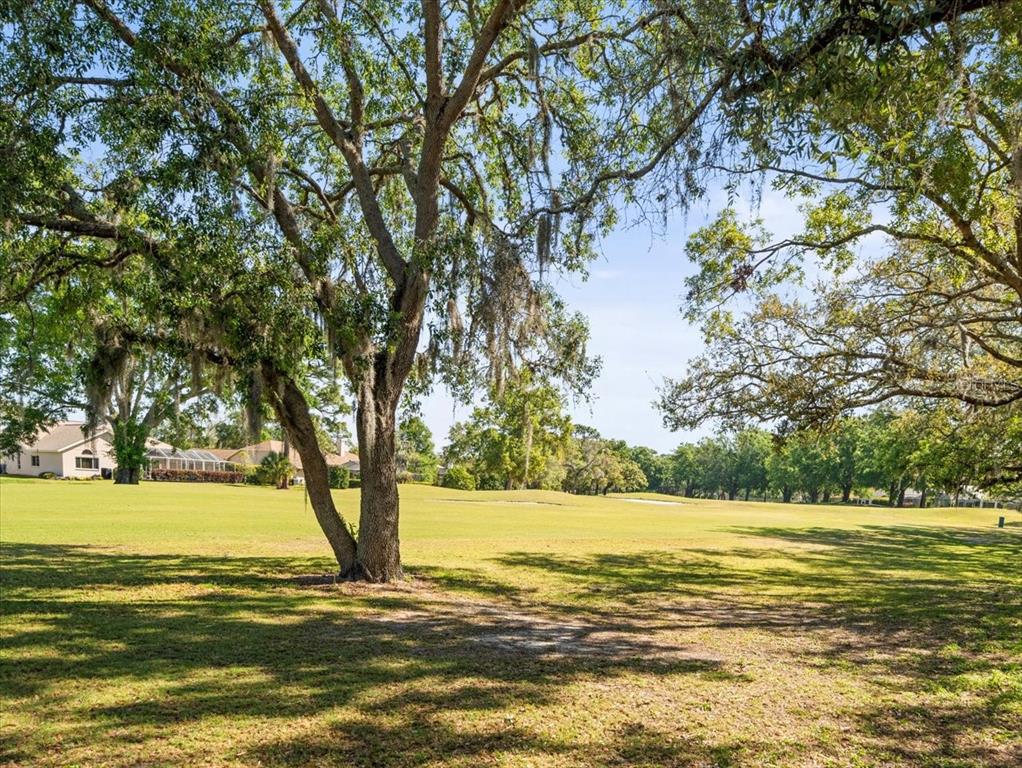 9355 French Quarters Circle Weeki Wachee, FL 34613 - Photo 50 of 57