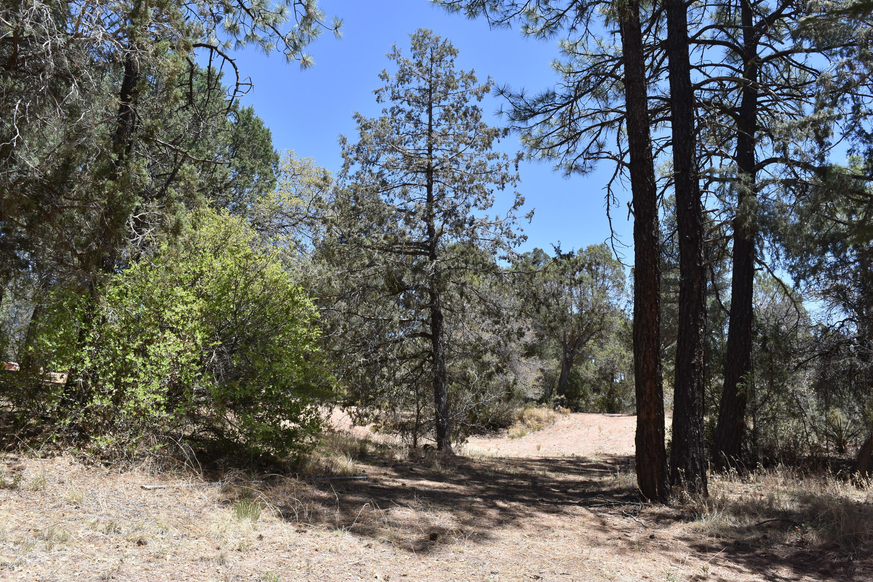 92 North Pinon Road Payson, AZ 85541 - Photo 34 of 54 DSC_2521