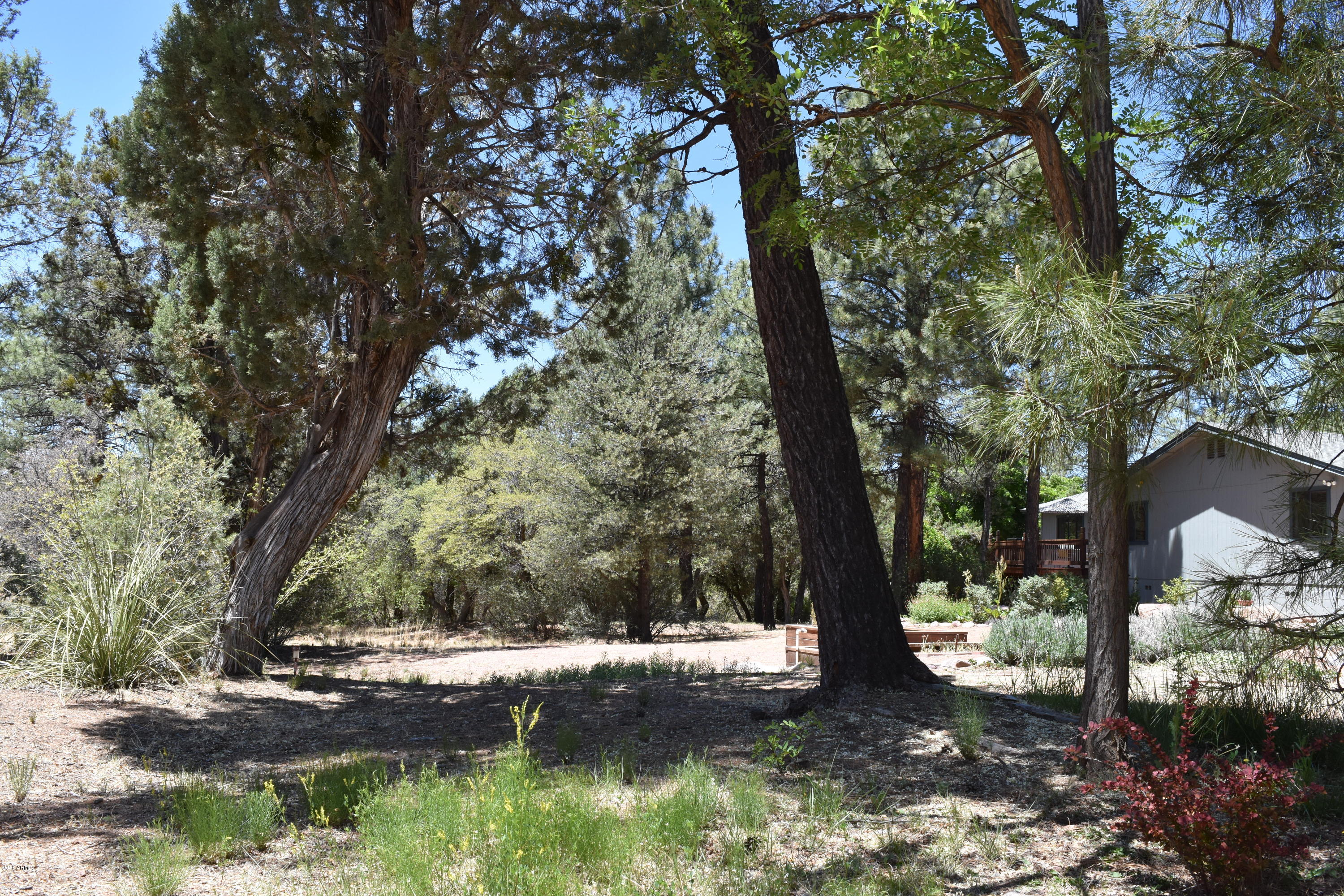 92 North Pinon Road Payson, AZ 85541 - Photo 36 of 54 DSC_2495