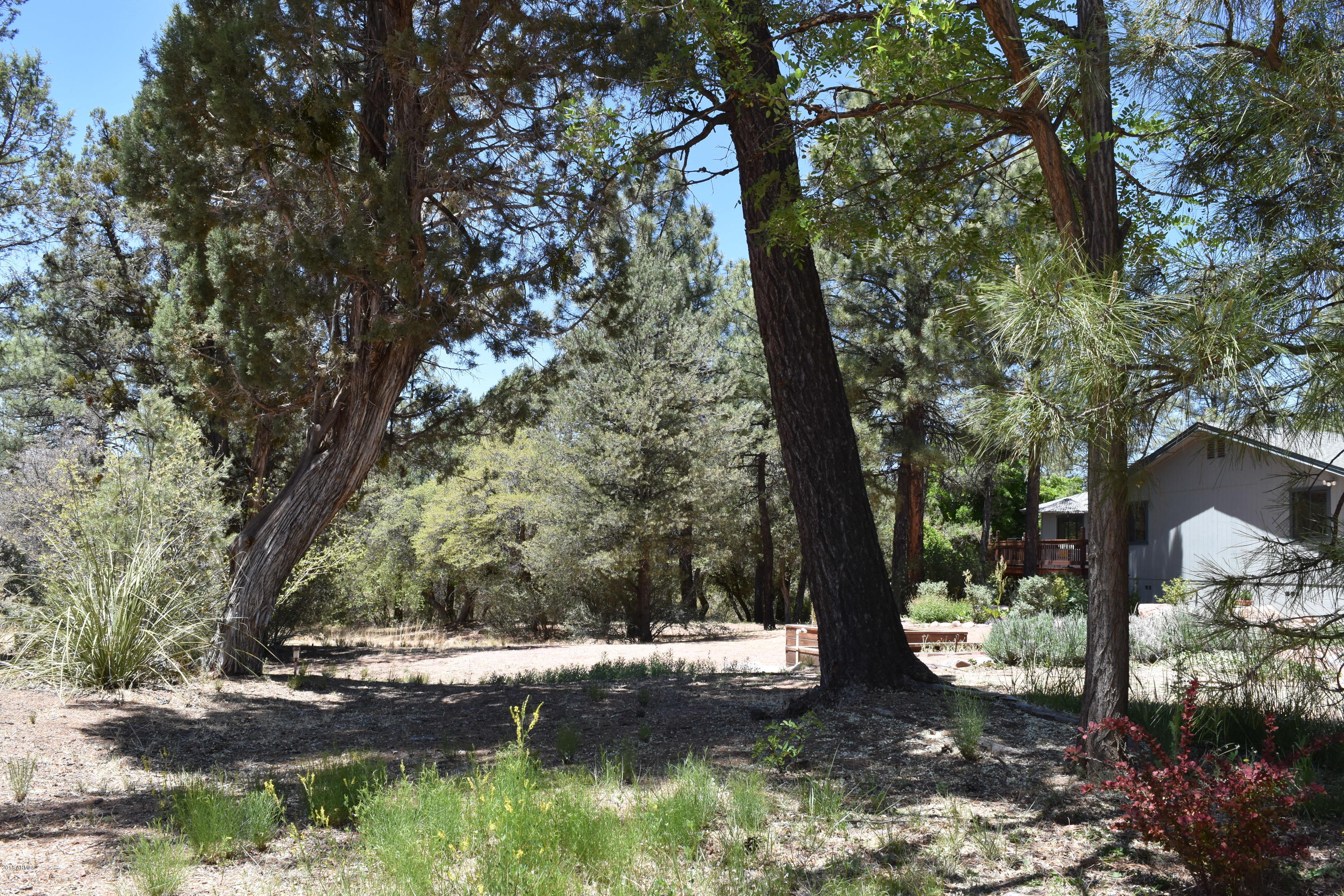 92 North Pinon Road Payson, AZ 85541 - Photo 39 of 54 DSC_2495