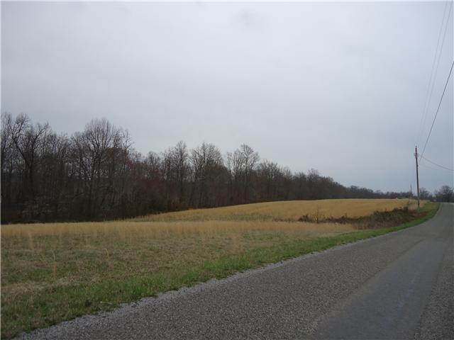 This is a view of the land from the street.