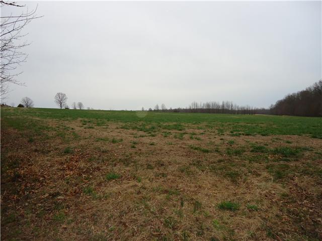 984 Frazier Road Beechgrove, TN 37018 - Photo 2 of 5