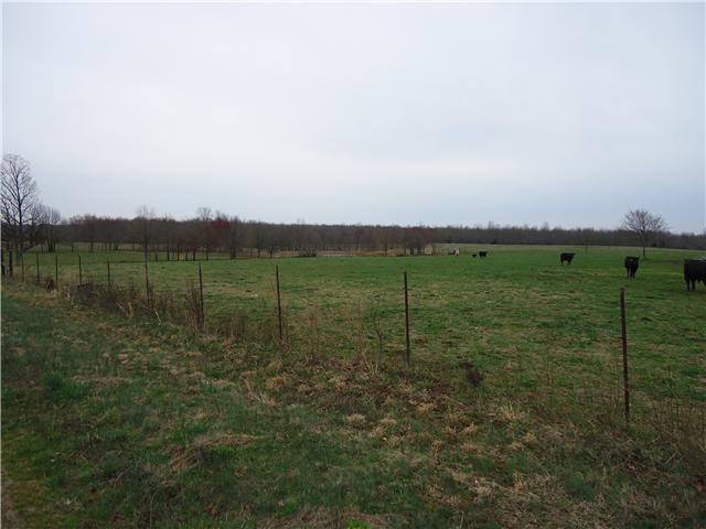 984 Frazier Road Beechgrove, TN 37018 - Photo 3 of 5