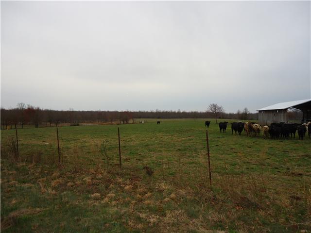 984 Frazier Road Beechgrove, TN 37018 - Photo 4 of 5